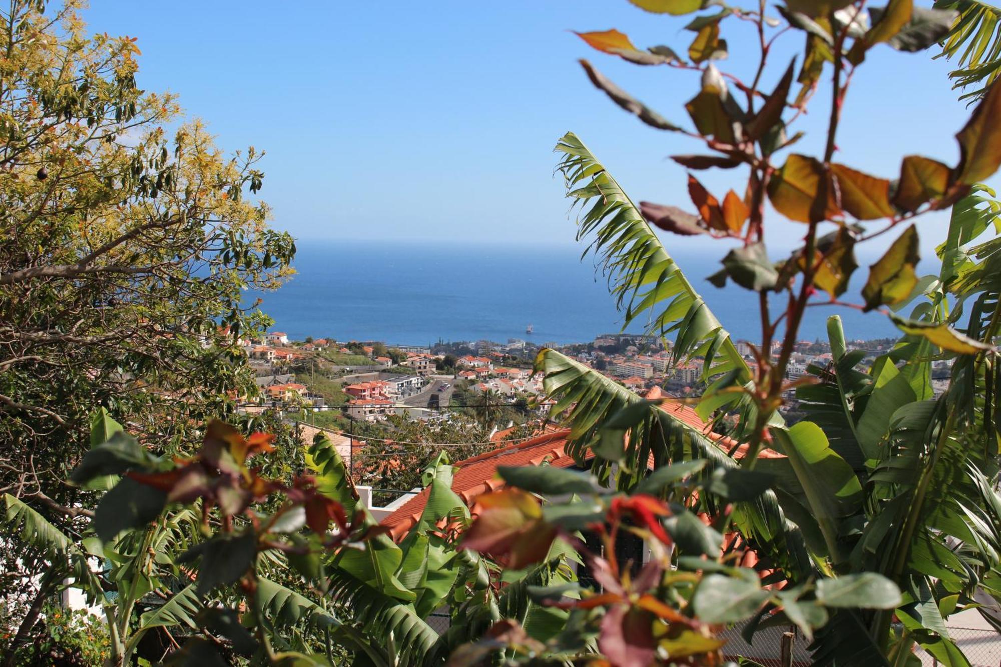 Alojamento Funchal - Silvestre House Exterior foto